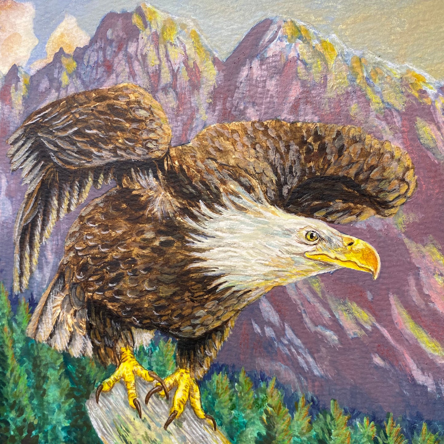 American Bald Eagle Decorative Sunrise Painting "Mountain's Majesty"  Original Watercolor Art By Sarah Webster Smith