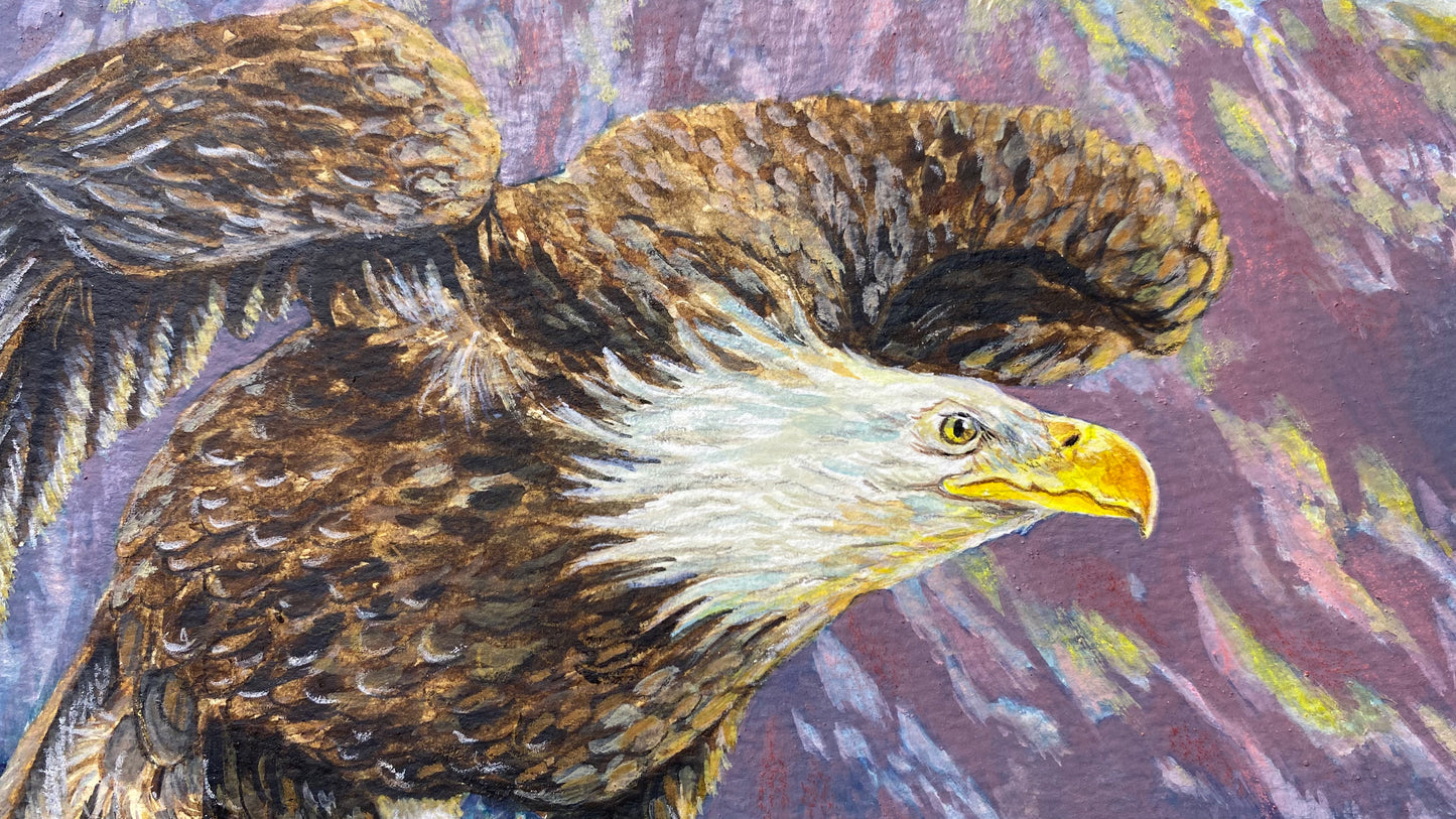 American Bald Eagle Decorative Sunrise Painting "Mountain's Majesty"  Original Watercolor Art By Sarah Webster Smith