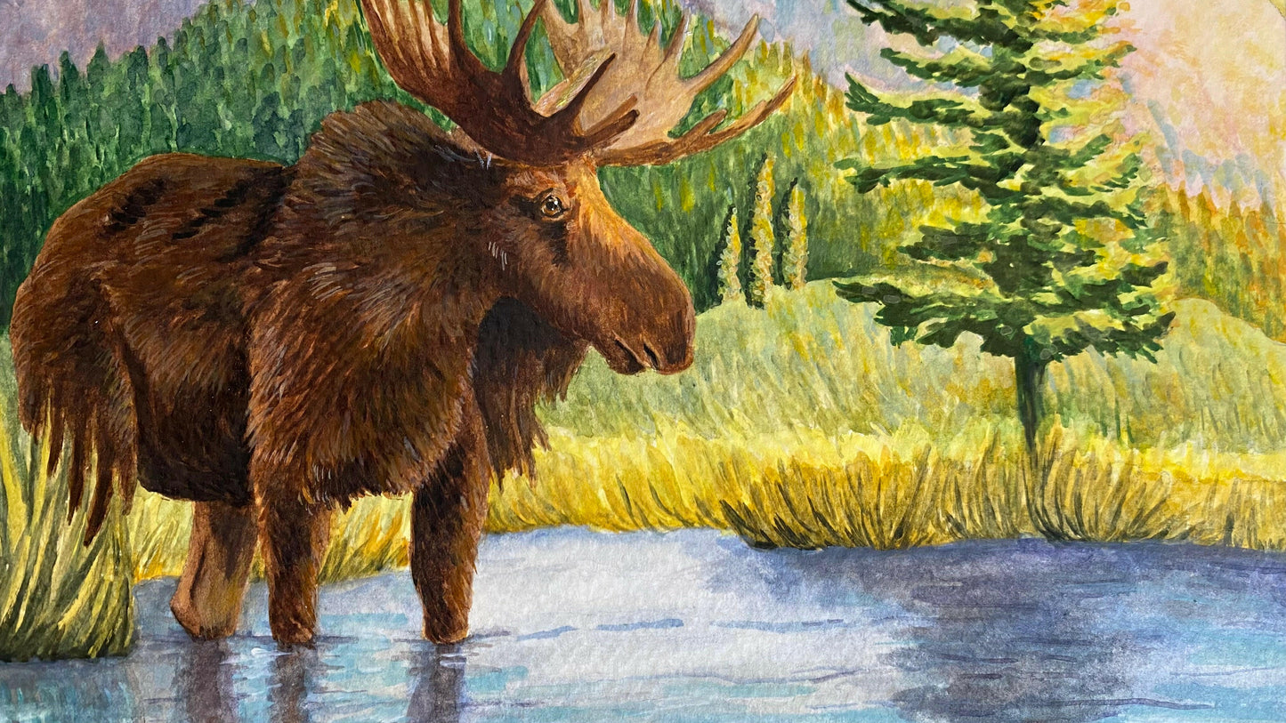 Moose Nature Watercolor Mountain Meadow "Highland Hues" Original Wall Art By Sarah Webster Smith