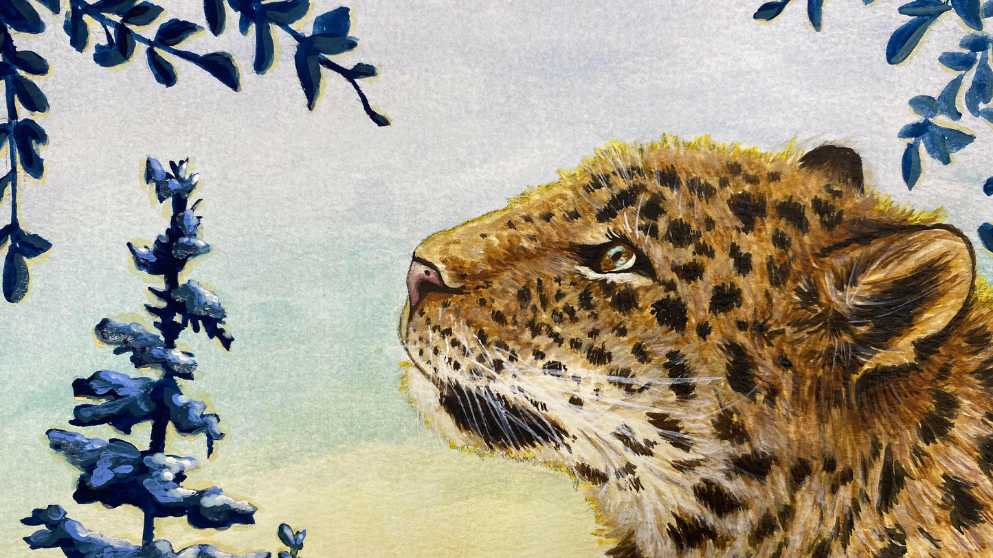 Snow Leopard Painting Morning Sun Mountains Watercolor "Warm Wisp" Wall Art Prints by Sarah Webster Smith