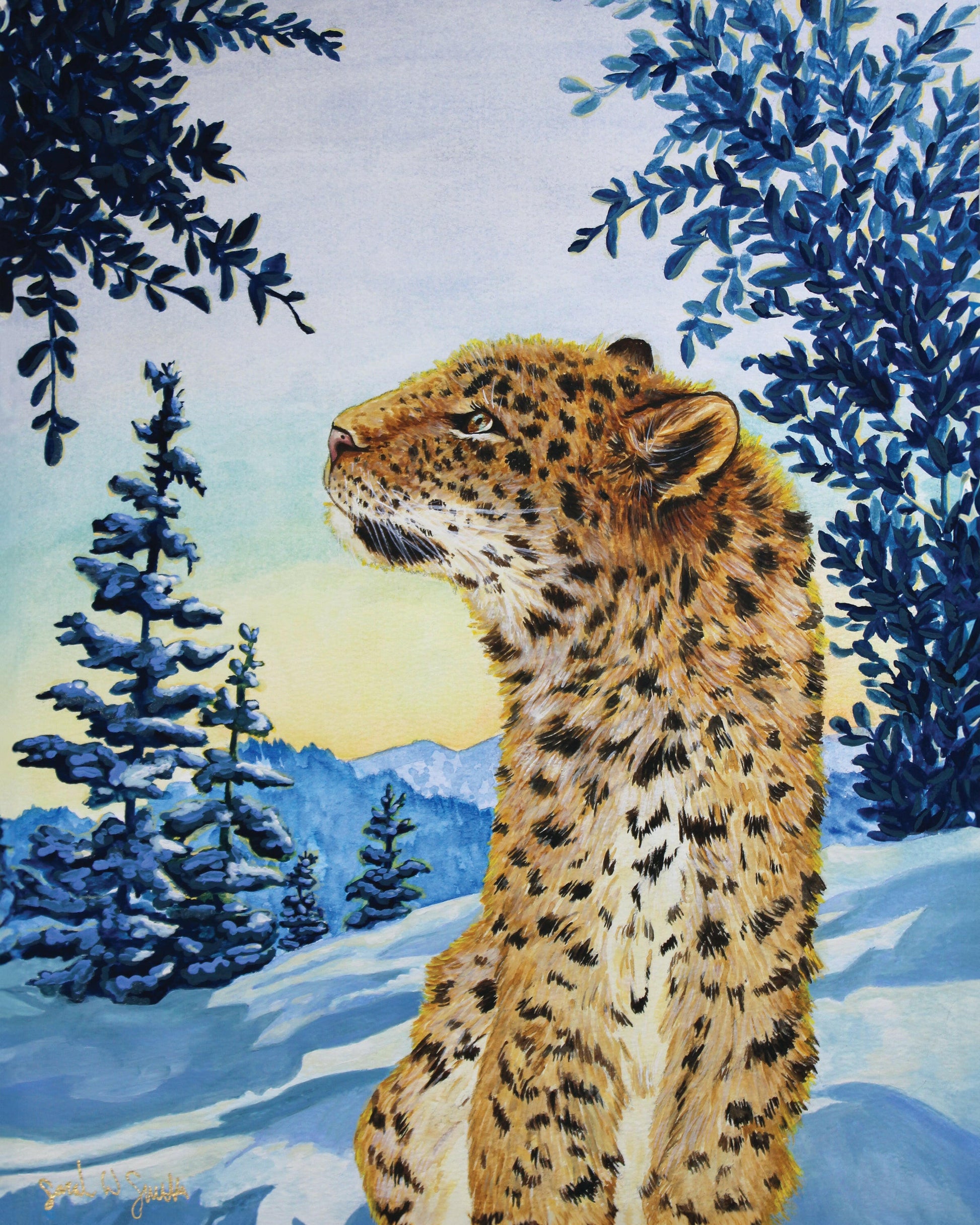 Snow Leopard Painting Morning Sun Mountains Watercolor "Warm Wisp" Wall Art Prints by Sarah Webster Smith