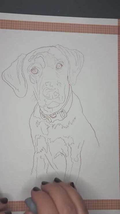 Custom Watercolor Pet Portrait